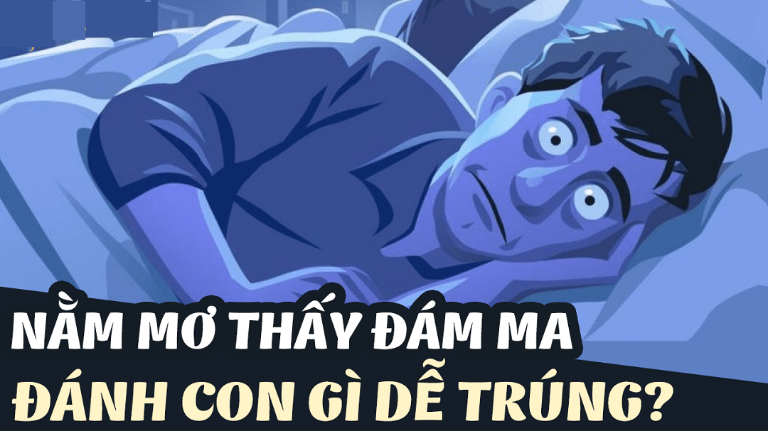 Mơ thấy đám ma đánh con gì? Là số mấy?