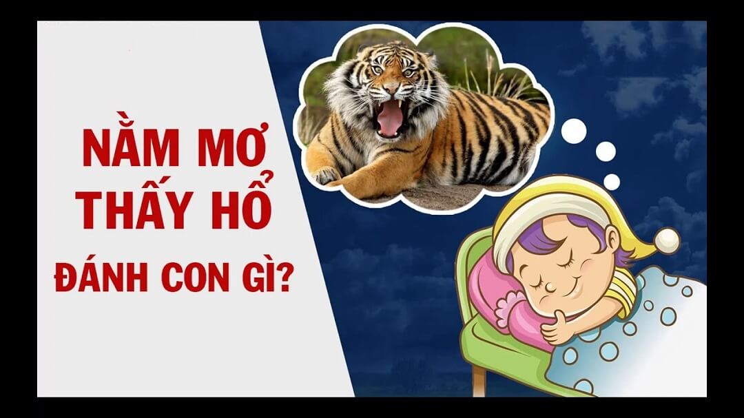 Nằm mơ thấy hổ (cọp, dần) liên quan đến những con số gì?